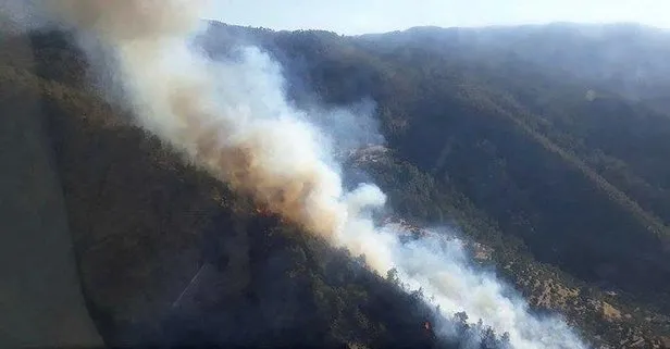 Aydın Bozdoğan’da orman yangını! Ekipler havadan ve karadan müdahale ediyor