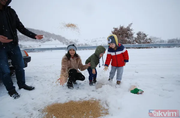Beyaz kış şimdi başlıyor! İstanbul ve Ankara için kar yağışı kapıya dayandı: MGM 3 Şubat hava durumu raporu - 13