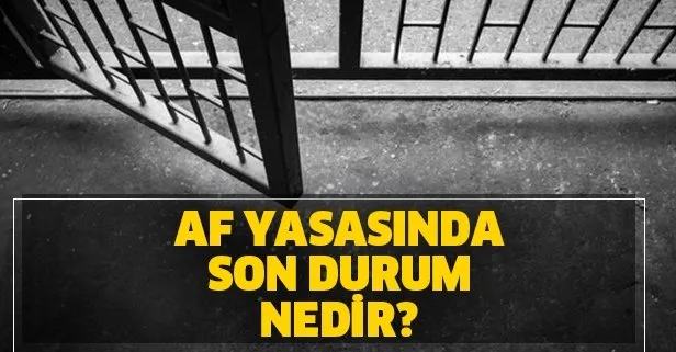 Af yasasında son durum ne? Hangi suçlara af gelecek?