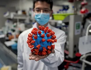 Biz koronavirüsü öğrendikçe...