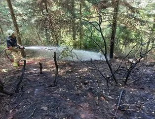 Aydos Ormanı’da yangın paniği!