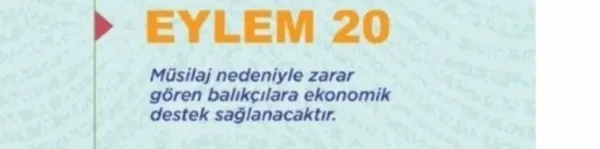 son-dakika-marmara-denizi-adeta-beton-oldu-musilaj-temizleme-seferberligine-unlu-isimler-de-katilacak-1623147714763.jpg