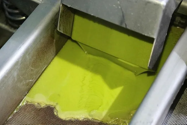 Yağı 250 çekirdeği 2,5 lira! Yeşil elmas olarak bilinen avokadonun yağına yoğun talep-2