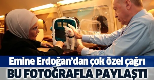Emine Erdoğan’dan ’Hayvanları Koruma Günü’ paylaşımı