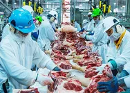 ABDyi ayağa kaldıran olay! Domuz eti fabrikasında çalışan 370 kişide koronavirüs tespit edildi!