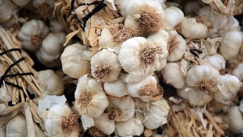 hastaliktan-kurtulamiyorsaniz-bali-boyle-yiyin-ibn-i-sinanin-bu-formulu-sip-diye-ayaga-dikiyor-1712854295923.jpeg İbn-i Sina'nın bu formülü şıp diye ayağa dikiyor! Hastalıktan kurtulamıyorsanız balı böyle yiyin-4