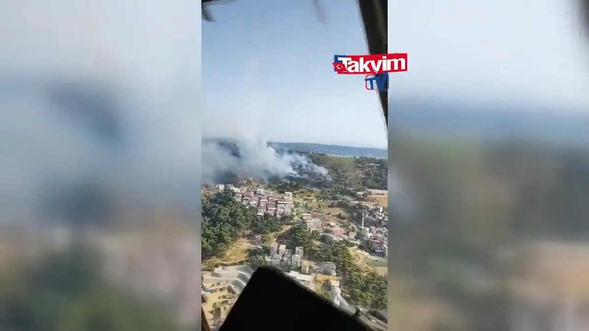 İzmir Bornova'da orman yangını!