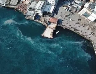 İstanbul Boğazı’nda denizanası istilası