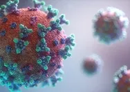 Koronavirüste yeni mutasyon genetik materyelinde bir hata oluşması üzerine gerçekleşiyor