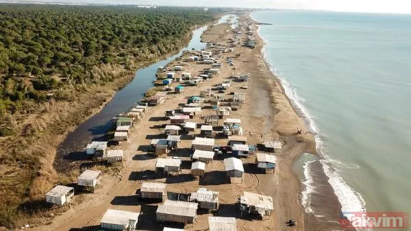 Antalya Aksu Kumköy Sahili'nde doğa katliamı! Kaçak barakalar yüzünden caretta carettaların yumurtalarının yüzde 56,9'u bozuk çıktı - 15