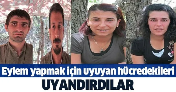 SON DAKİKA: PKK’nın eylem yapmak için hazır bekleyen uyuyan hücresine operasyon: 5 kişi yakalandı