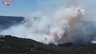 Sakarya’da orman yangını!