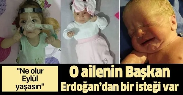 SMA hastası Eylül Öztürk’ün ailesinden Başkan Erdoğan’a yardım çağrısı: Bir ilaca daha ihtiyacı var