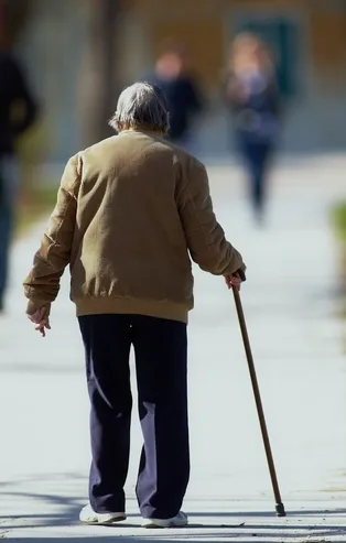 Bakan Soylu'dan "65 yaş" ricası