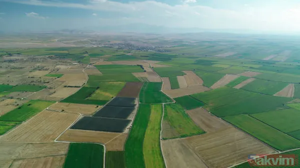 Prefabrik, tiny house, bungalov, 2+1 betonarme ev yapmak isteyenlere müjde! 12.000 TL'ye Eskişehir'de satılık arsa! Milli Emlak duyurdu - 1