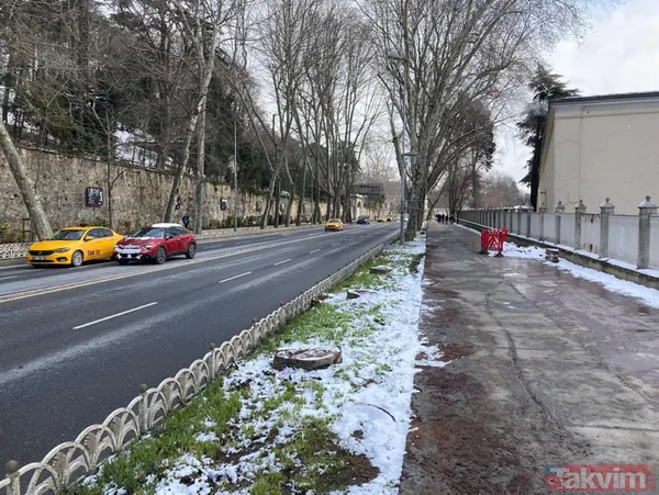 Gezici tayfa ve sözde çevrecilerin ikiyüzlülüğü! CHP'li İBB'nin ağaç katliamı karşısında dilini yuttular: Tepkiler çığ gibi - 2