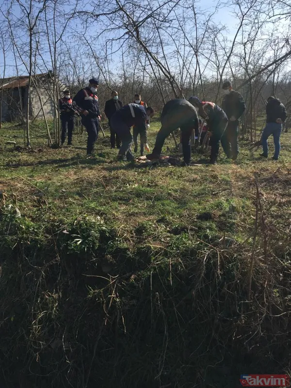 Duygulandıran görüntü! Pompalı tüfekle öldürülen köpeğin 7 yavrusu başından ayrılmadı - 3