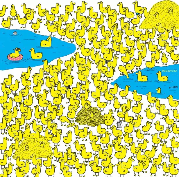 ordeklerin-arasindaki-civcivi-iqsu-yuksek-ve-sniper-gibi-gozlere-sahip-olanlar-buluyor-1696687133233.jpg Ördeklerin arasındaki civcivi IQ'su yüksek ve sniper gibi gözlere sahip olanlar buluyor-2