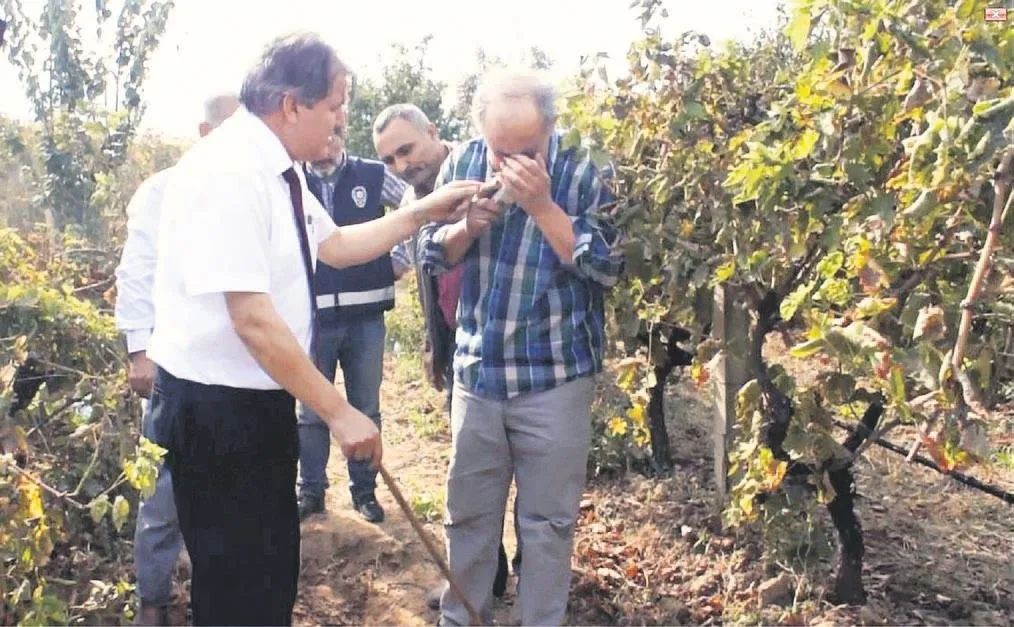 bana askim diyordu takvim