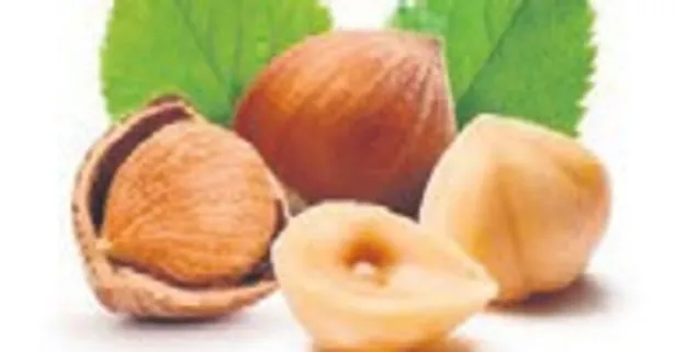 Fındığın sağlık etkileri saymakla bitmiyor
