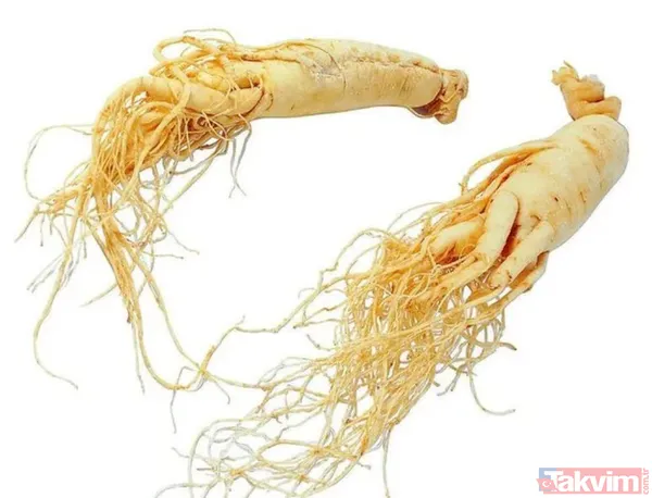 Asya Ginseng: Yorgunluk hissi ve iktidarsızlık durumunda kullanımı önerilen ginsengin testosteron seviyesi üzerinde artış sağladığı gözlemlenmiştir.