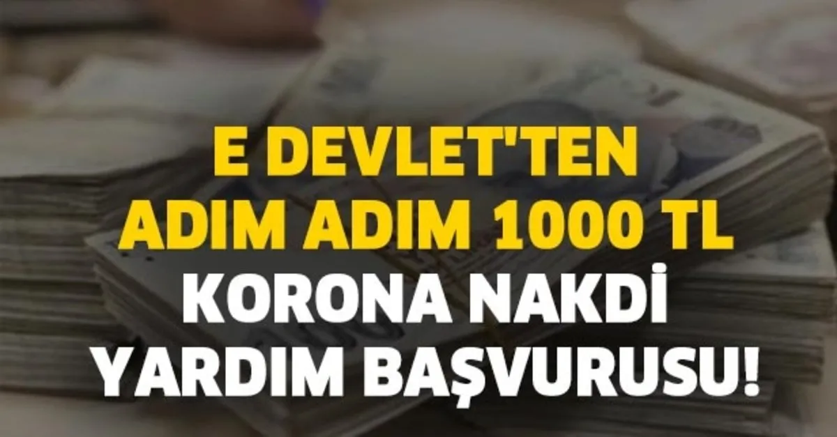 1000 tl sosyal yardim tc kimlik no ile numarasi sorgulama e devlet 1000 tl korona nakdi yardim basvurusu takvim