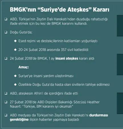 ABD Zeytin Dalı Harekatı'ndan neden rahatsız?-4