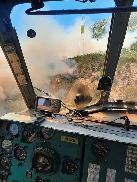 Muğla ve İzmir'de peş peşe orman yangınları! Datça'daki yangın kontrol altında-22