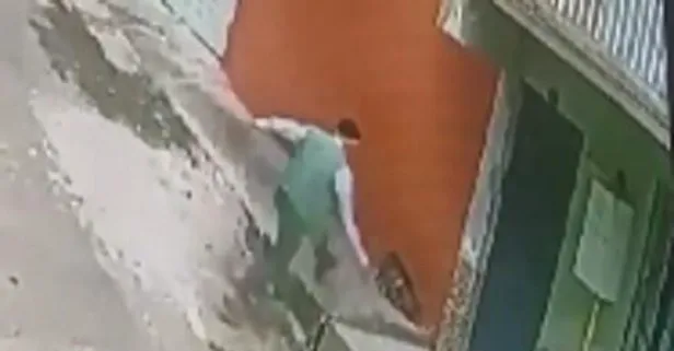 Şok görüntüler: Kediye keserle saldırdı
