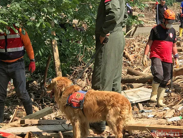 Düzce'de yaralar sarılıyor! Devletin tüm imkanları seferber edildi - 12