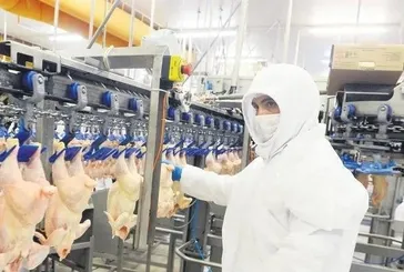 Fahiş fiyatta ortaklığa suçüstü! Rekabet Kurulu Ramazan fırsatçılarına geçit vermedi! Çalışanlara da ceza geliyor