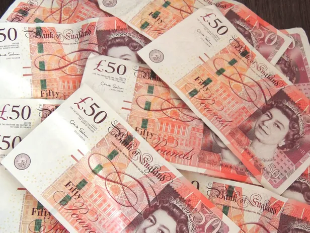 kimsenin-aklina-gelmez-hepsini-copten-toplayarak-ayda-20-bin-lira-kazaniyor-bir-ilham-sayesinde-1606501365498.jpg Kimsenin aklına gelmez! Hepsini çöpten toplayarak ayda 20 bin lira kazanıyor! Bir ilham sayesinde...-5