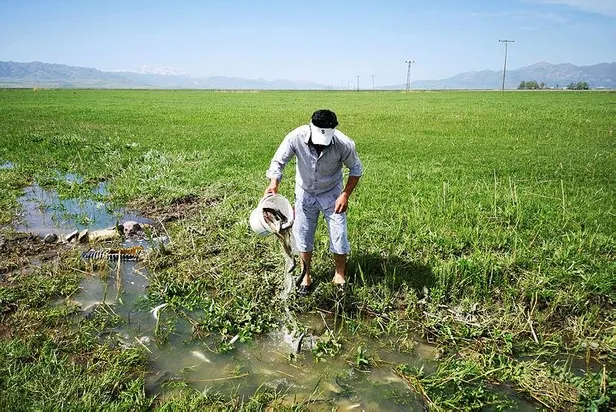 Van'da sulama kanalındaki 3 ton inci kefali Tarım ve Orman Müdürlüğü ekiplerince kurtarıldı-5