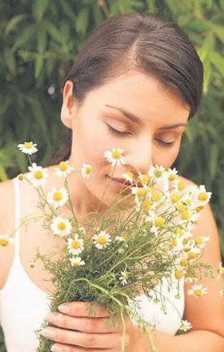 İdrar yolu iltihabına papatya şifası