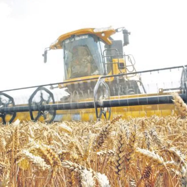 Milyonlarca çiftçiye 10 müjde! Üreticinin geliri garanti altına alınacak