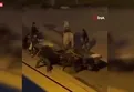 Adana'da masum atlara kırbaçlı işkence