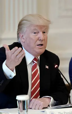 Trump'ın vize yasağı için mahkemeden karar çıktı