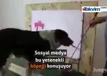 Trump 'ın ismini yazan köpek...
