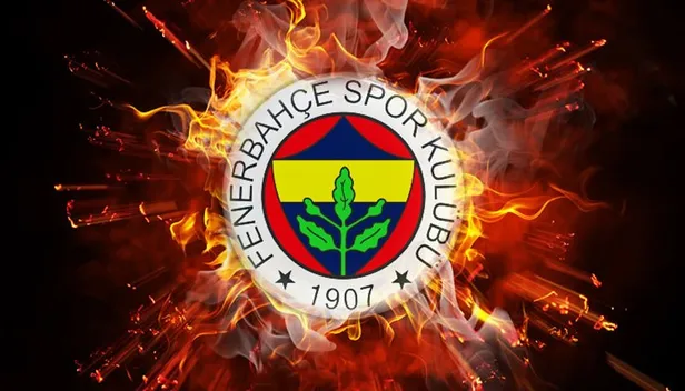Fenerbahçe'de Martin Skrtel'in alternatifi Yerry Mina oldu-1