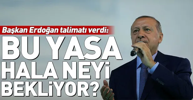 Başkan Erdoğan'dan "Hayvan Hakları Yasası" talimatı