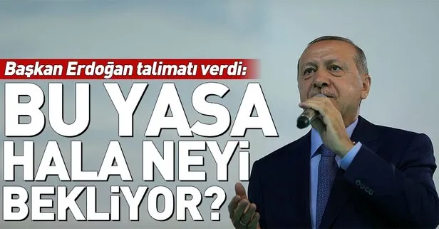 Başkan Erdoğan’dan Hayvan Hakları Yasası talimatı