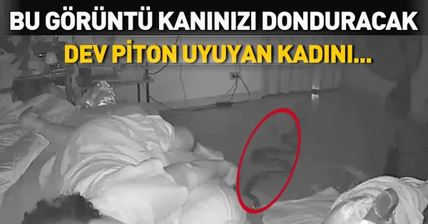 korkunc dev pitonun uyuyan kadini