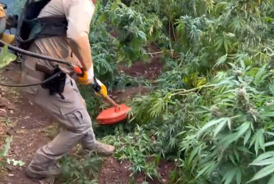 Diyarbakır’da uyuşturucuya darbe!