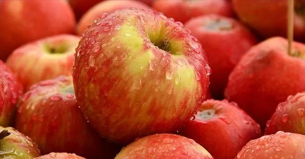 Romatizmaya bir elma! Elmanın faydaları nelerdir?