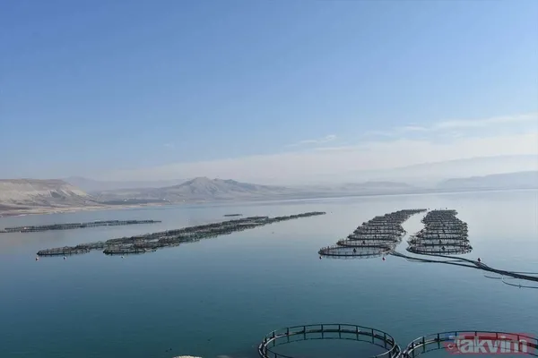 Yıllık kazançları 1 milyar TL! Deniz olmayan şehir Malatya'dan Avrupa ve Rusya'ya somon ihraç ediyorlar - 6