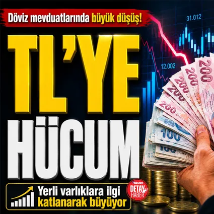 Döviz mevduatlarında büyük düşüş! Yatırımcılar TL mevduat ve hisse senedine koştu