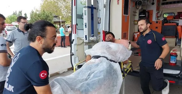 Samsun’da köpek dehşeti!