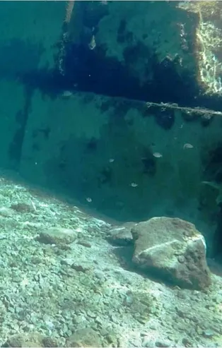 Son dakika: Bodrum’da denizin dibine metrelerce duvar! Bakanlık harekete geçti