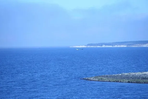 Bakan Akar’dan "Ukrayna'da bekleyen Koca Yusuf'lara" ilişkin açıklama: Şartlar müsait olduğu ilk anda uçaklarımızı getireceğiz-4