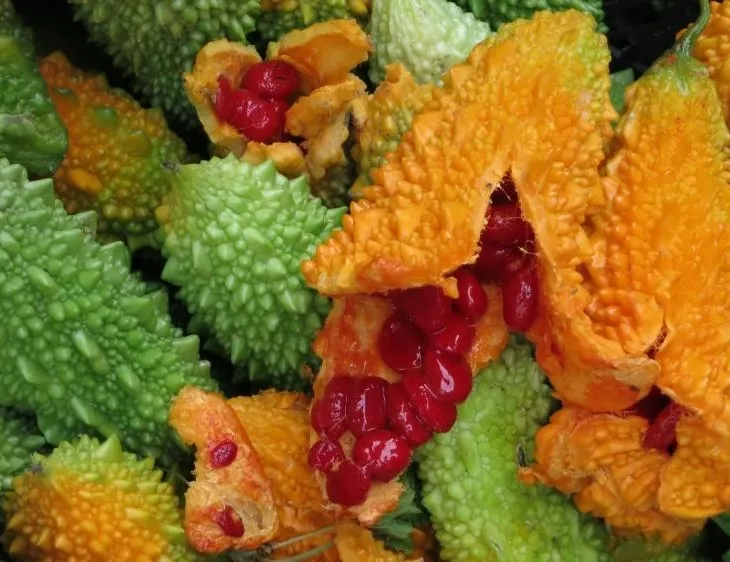 Şekerin ilacı kudret narı